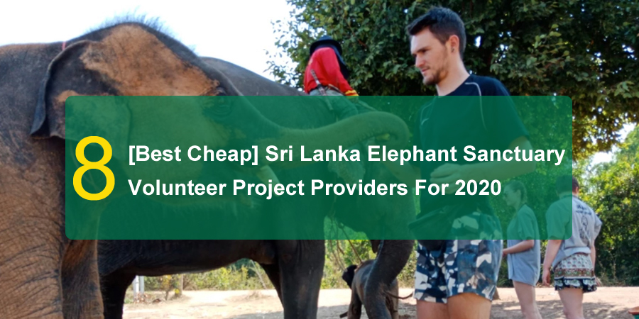 volunteer Sri Lanka Elephant Sanctuary