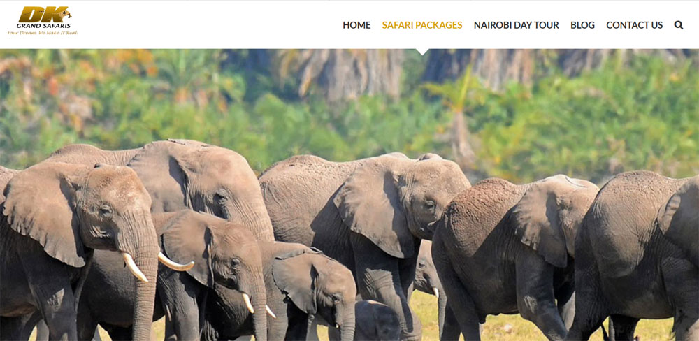 tanzania tours operators