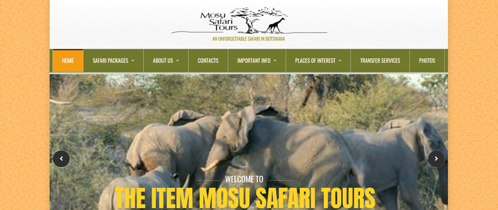 botswana tours with Mosu Safari Tours