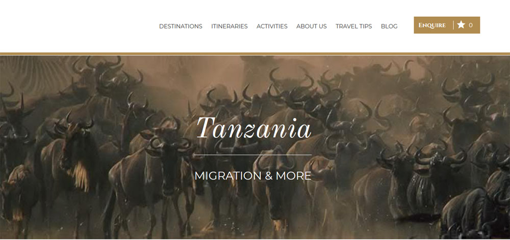 tanzania tours and safaris
