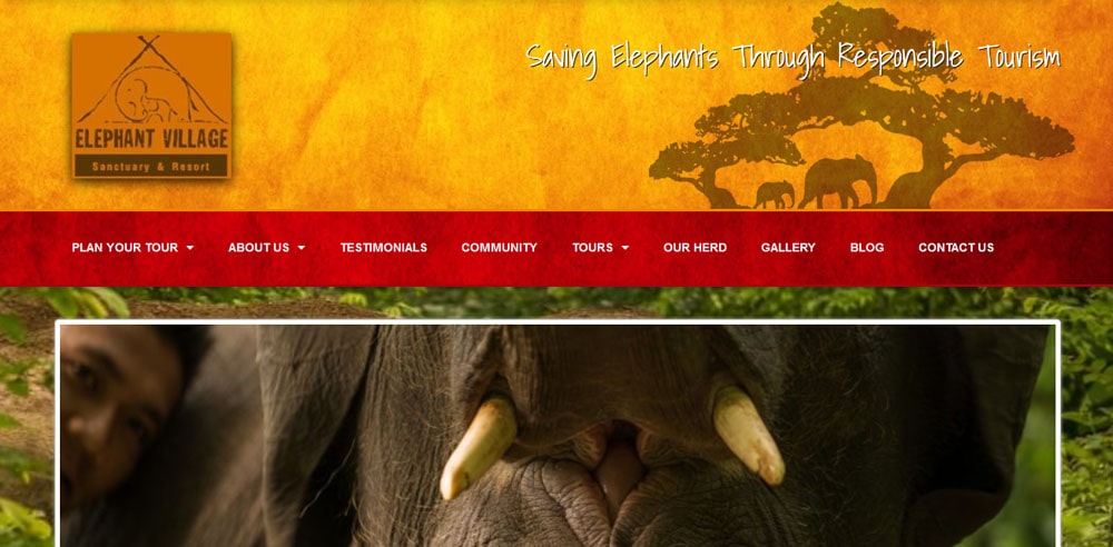 laos tours