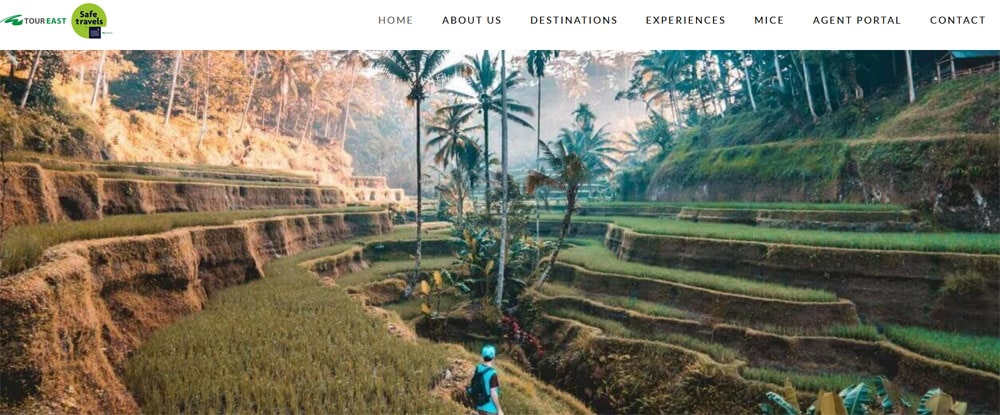 singapore tour company