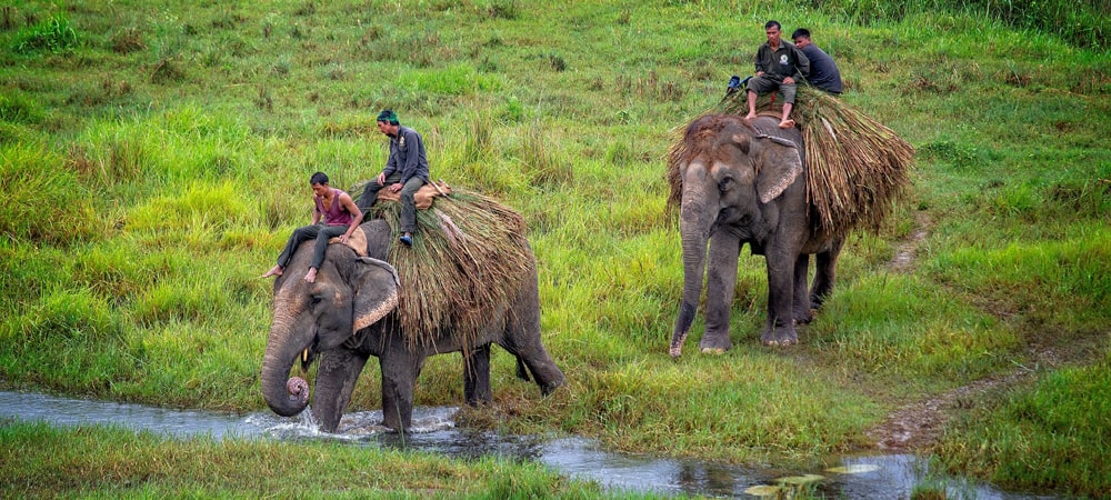 Chitwan National Park