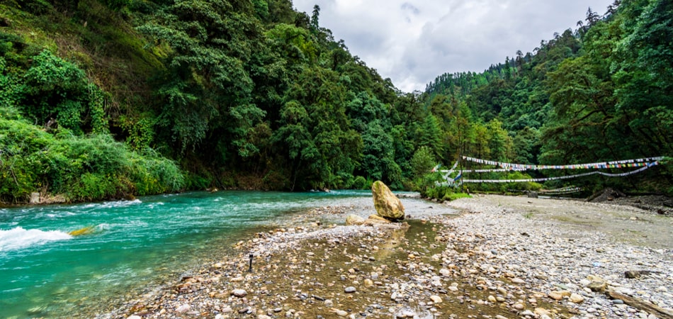 Jigme Dorji National Park