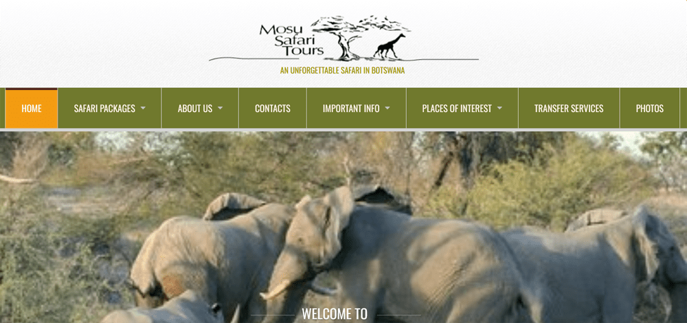 Mosu Safari Tours