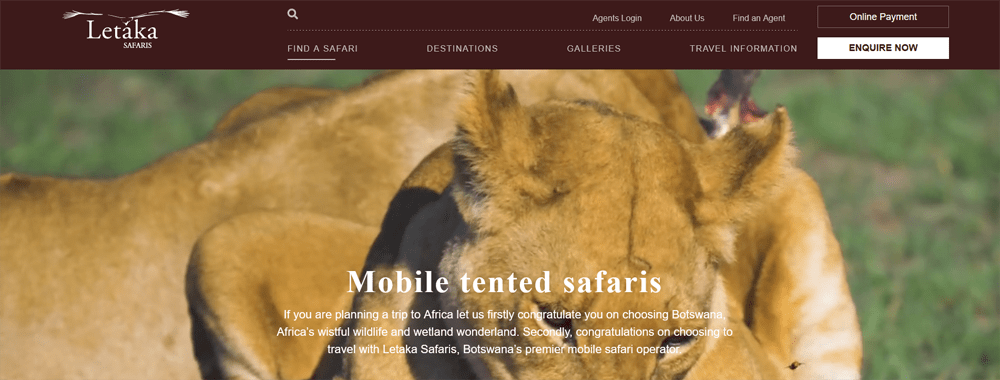 Letaka Safaris