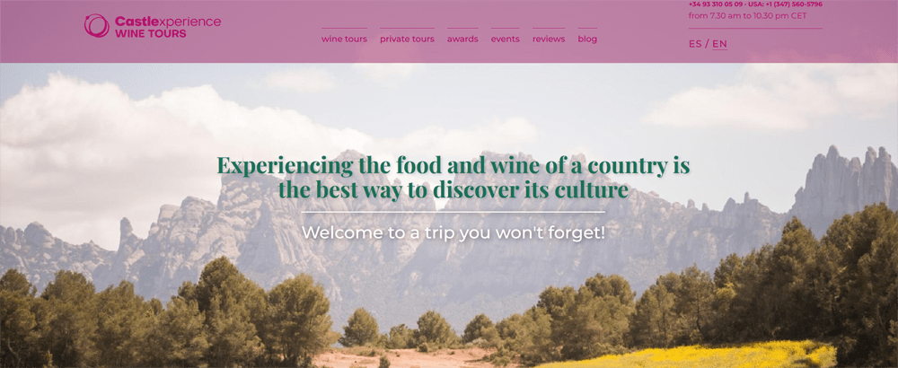 Castlexperience Wine Tours