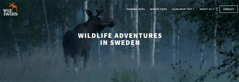Wild Sweden