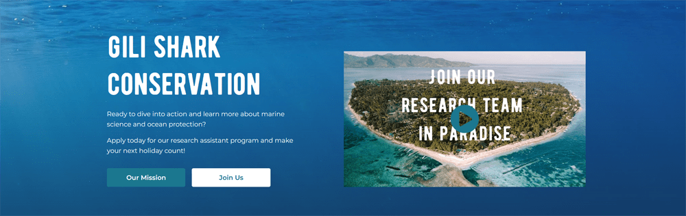 Gili Shark Conservation Project