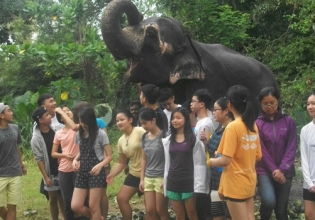 Elephant Sanctuary Volunteer Sri Lanka-Over 22000 Happy Volunteers Since 2006