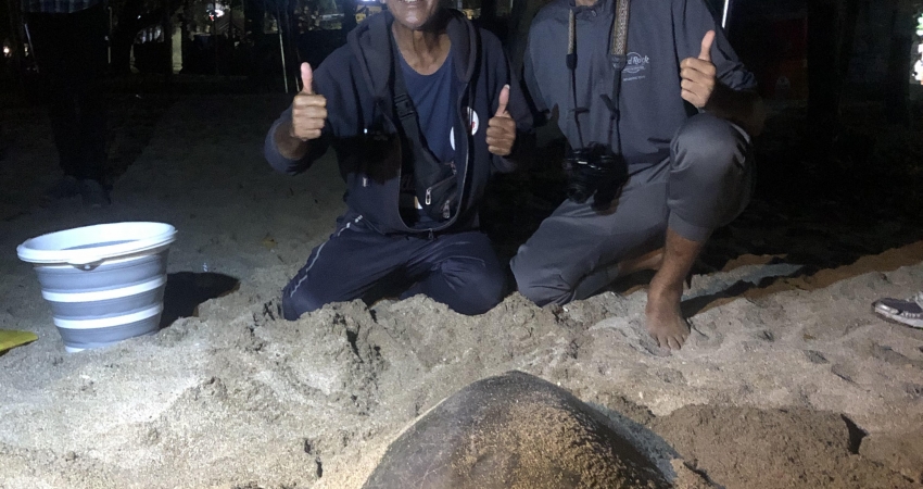 Teaching English & Turtle Conservation Combo in Bali - Over 20,000 Happy Volunteers since 2003