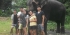 Volunteering in Sri lanka With Elephants-Pinnawala-Trusted By 18000 Volunteers Since 1998