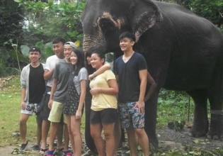 Volunteering in Sri lanka With Elephants-Pinnawala-Trusted By 18000 Volunteers Since 1998