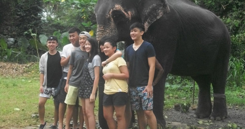 Volunteering in Sri lanka With Elephants-Pinnawala-Trusted By 18000 Volunteers Since 1998