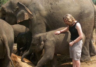 Elephant Conservation Internship in Sri Lanka - Lowest Fees & Trusted since 2003