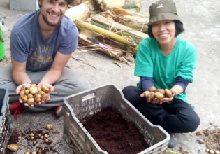 Rooftop Organic Farming