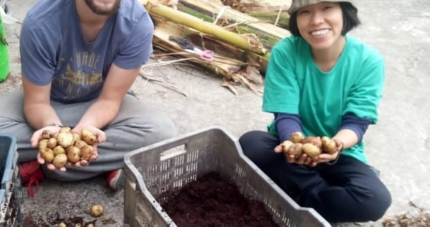 Rooftop Organic Farming