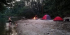 Biodiversity Research in the Amazon Rainforest