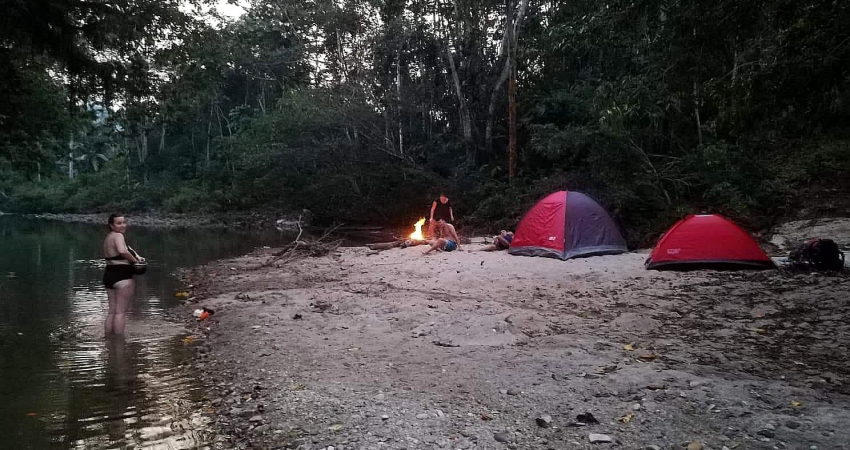 Biodiversity Research in the Amazon Rainforest