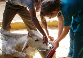 Animal Care & Rescue