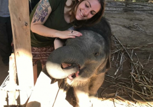Elephant Experience in Surin, Thailand