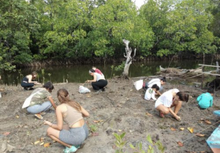 Mangrove and Environmental Conservation in Aborlan, Philippines