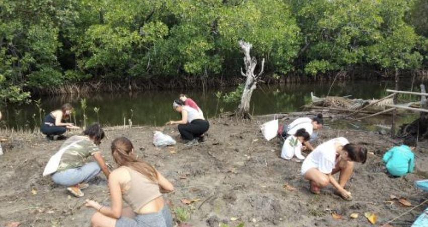 Mangrove and Environmental Conservation in Aborlan, Philippines
