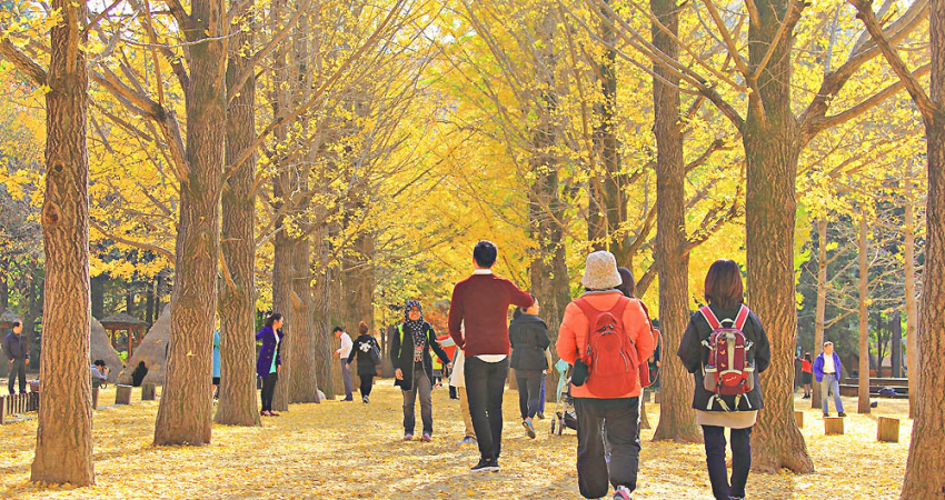 Best of Seoul Tour
