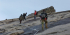 Mt. Kinabalu Summit