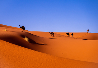 Sahara Desert Tour 3 Days 2 Nights from Fez to Marrakech