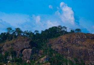 Cultural Tour of Cameroon