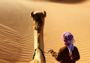 Camel Riding Adventure at Great Oriental Erg 7 Days/ 6 Nights
