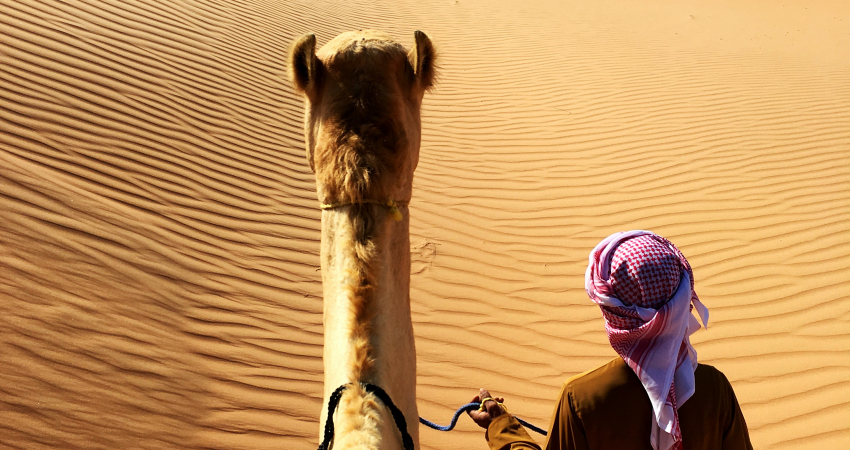 Camel Riding Adventure at Great Oriental Erg 7 Days/ 6 Nights