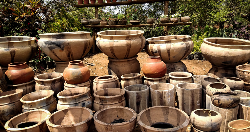 7-Day Malawi Introduction Safari