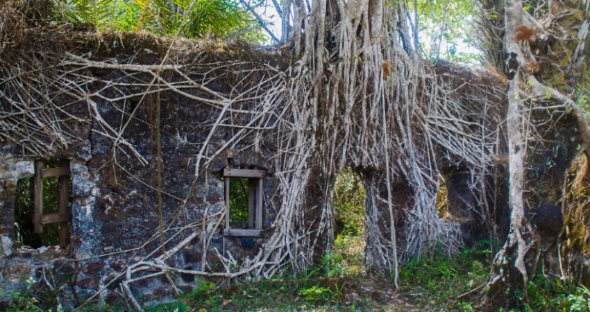 Bunce Island & Tasso Island Excursion