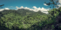 3-day Amazon Jungle Adventure Tour