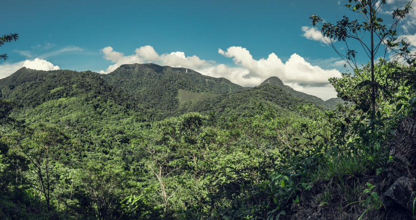 3-day Amazon Jungle Adventure Tour