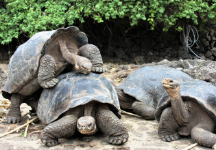 7 Day Galapagos Budget Island Hopping