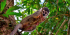 4-day Galapagos Surprising