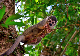 4-day Galapagos Surprising