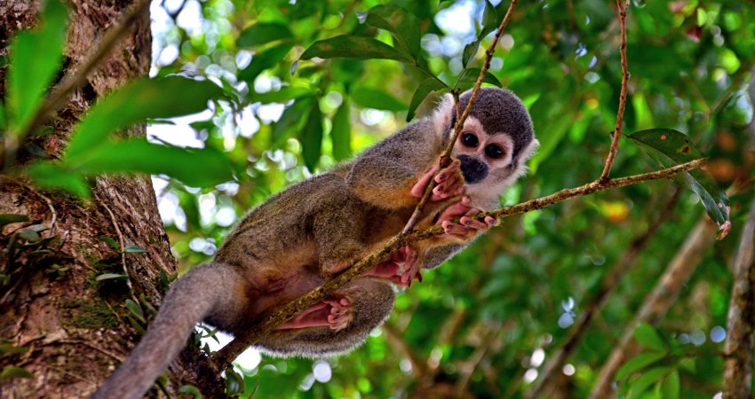 4-day Galapagos Surprising
