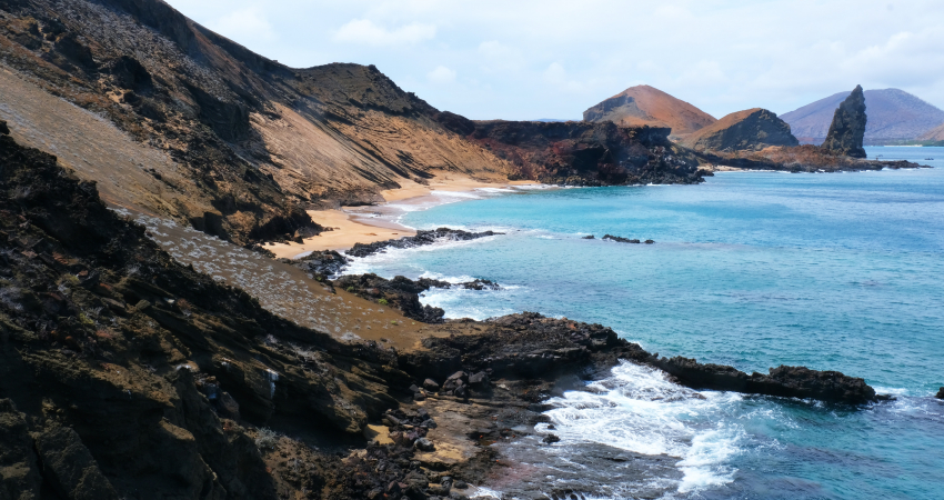 Concise Galapagos