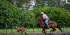 6 Days Horseback Riding And Local Culture