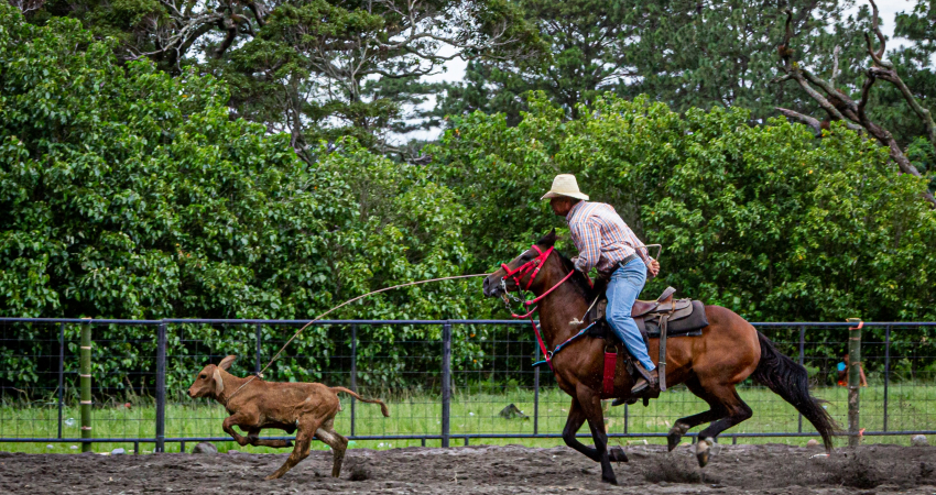 6 Days Horseback Riding And Local Culture