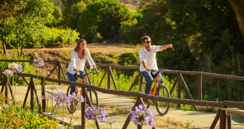 Bicycle & Wine Forest Houses