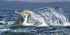 FULL DAY WHALES TOUR