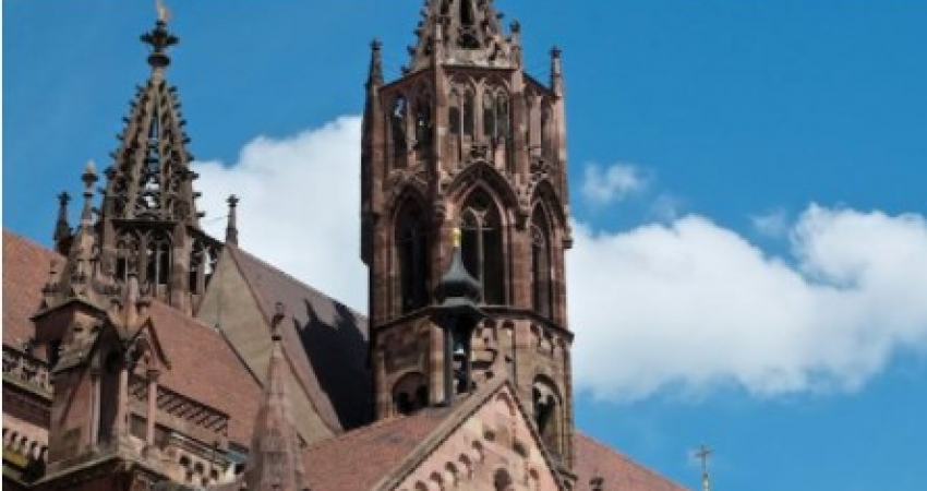 Freiburg Walking tour with a professional guide