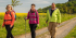 Walking in the Black Forest between Schluchsee and Feldberg