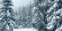Winter in the High Tatras Mountains