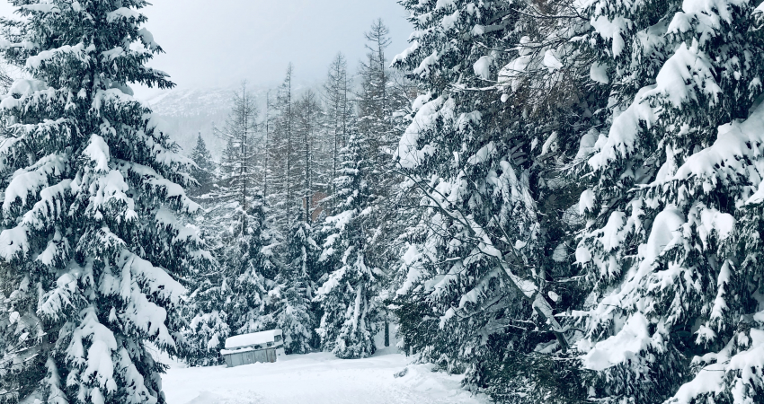 Winter in the High Tatras Mountains